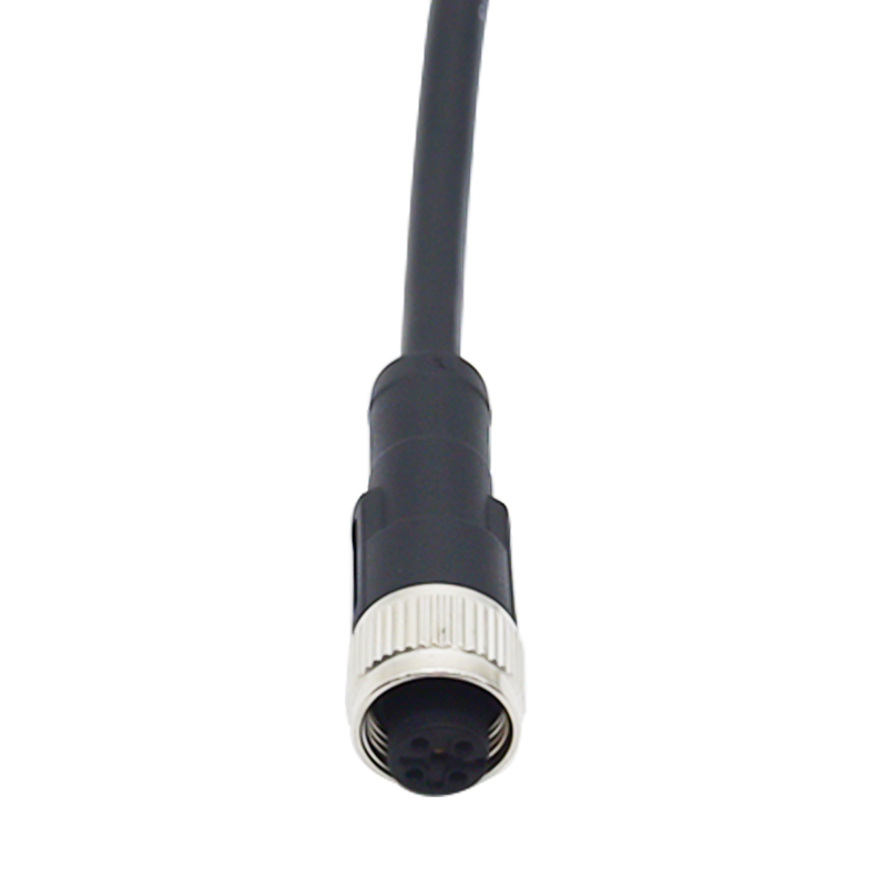 M12 5芯母直头 Cable